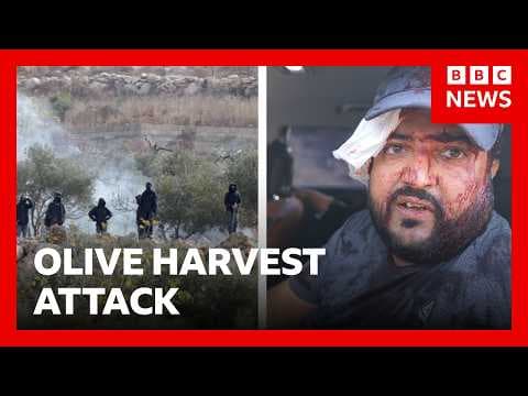 Israeli settlers attack Palestinians in West Bank during olive harvest | BBC News