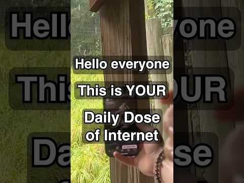 When Life Imitates Art