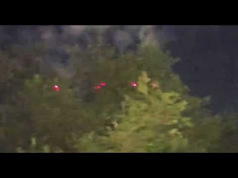 A family notices a UAP hiding in a tree in their backyard
