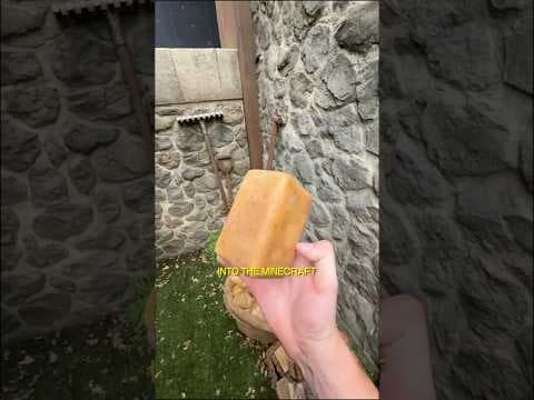 Minecrafters in New Zealand