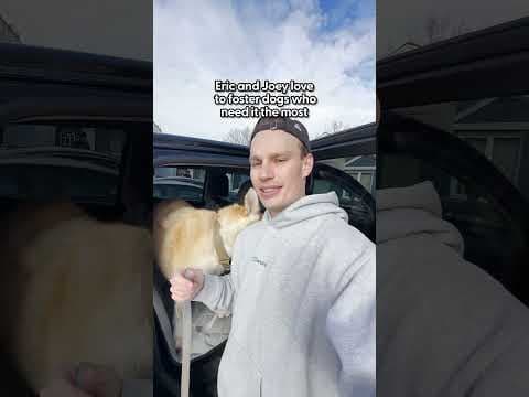 Dog Waits 6 Years In A Shelter — Then Flies Private To Vegas | The Dodo