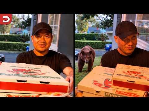 Bear Sneaks Up on Delivery Guy