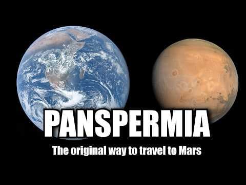 Scientists Just Showed Life Can Travel To Mars Without Spaceships