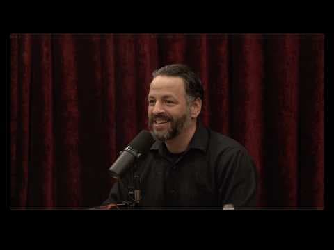 Joe Rogan Experience #2535 - Andrew Wilson