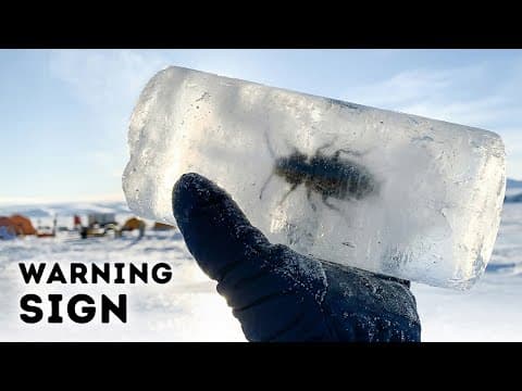 Antarctica’s Ice May Collapse Again - Scientists Just Found Proof
