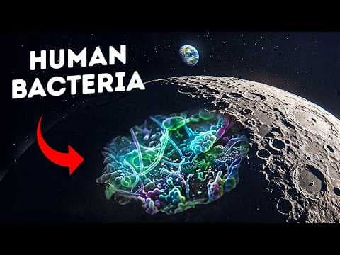 NASA Found Evidence Earth Life Could Survive on the Moon
