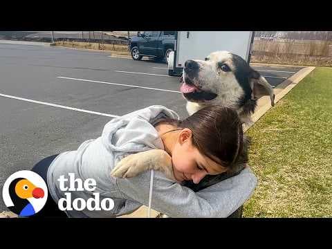 Family Goes Out For Errands And Comes Home With A Dog | The Dodo