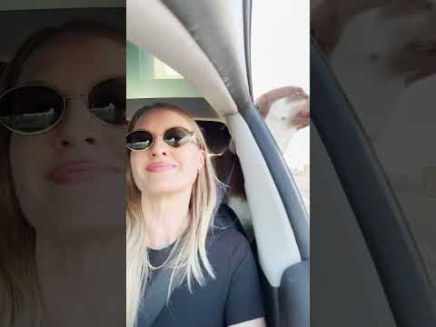 Confused Husky Puppy Learns How To Be A Dog | The Dodo