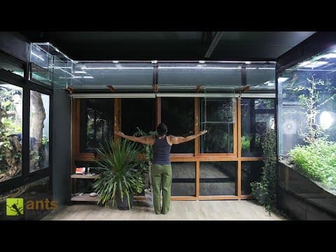 I Built a Bridge Connecting All My Giant Vivariums Together