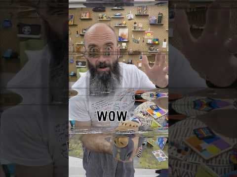 Audio Palindromes