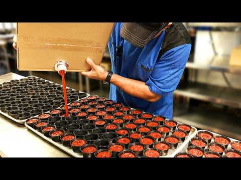 The Most Satisfying Videos On The Internet