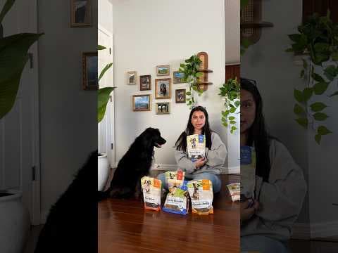 Dog Outsmarts His Birthday Piñata For The Best Reason | The Dodo