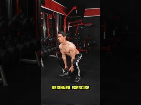 The BEST Workout for Beginners