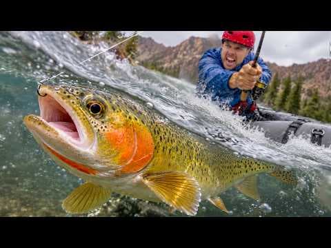 Whitewater Trout Fishing on the River of No Return!