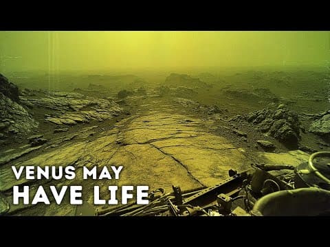 Scientists Just Proved That Life Could Exist on Venus