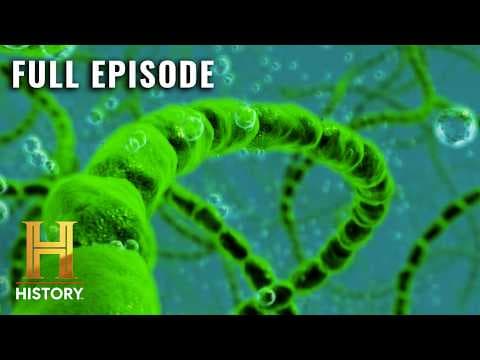 Astrobiology (S2, E7) | The Universe | Full Episode