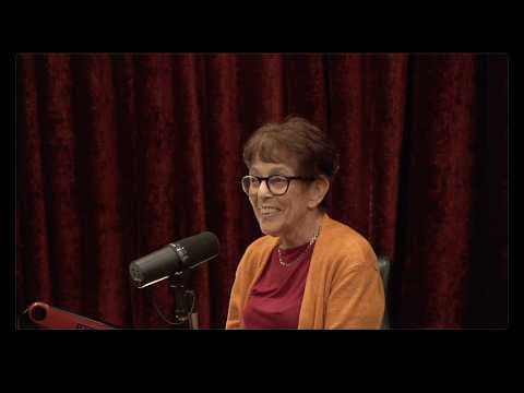 Joe Rogan Experience #2476 - Shanna H. Swan