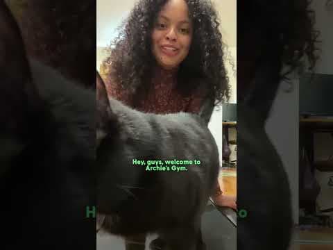 Cat Asks Mom To Train On The Treadmill Daily  | The Dodo
