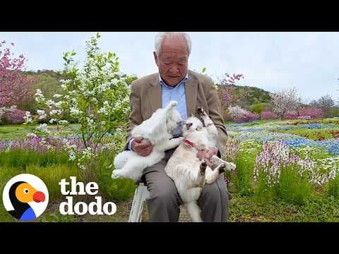 Grandpa Keeps Sweet Tradition Going With Two Very Unimpressed Cats | The Dodo