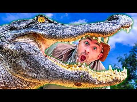Jaws of Death! Alligator & Crocodile Bite Test