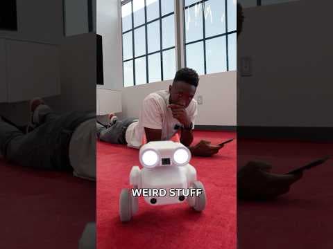 The Wildest Camera Robot