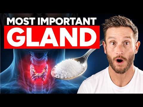5 Things Your Thyroid is Starving For (and your doctor isn't checking)