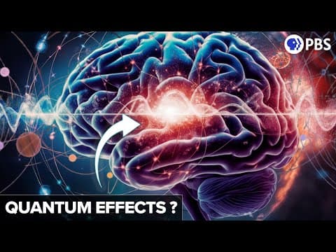 Was Penrose Right? NEW EVIDENCE For Quantum Effects In The Brain
