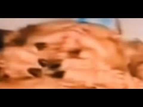 A video allegedly leaked of the world's fourth richest man shows two reptilian bodies