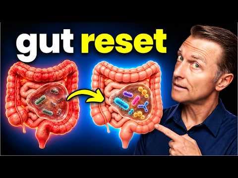 How to Heal Your Gut After Antibiotics (Most People Never Do)