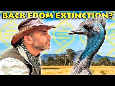 Billion Dollar Artificial Egg - Will it Work?!
