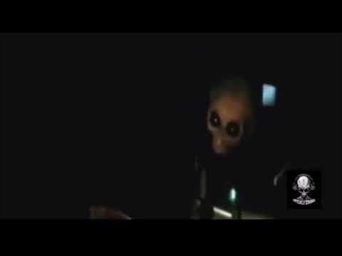 A viral video, over 10 years old, shows 100% real images of aliens from Area 51