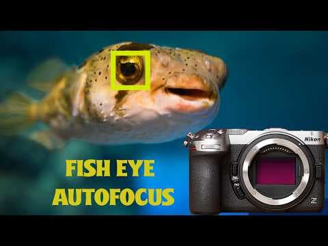 Entry Level Full Frame Nikon - Z5iiC TESTED