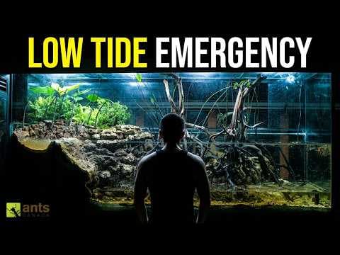 Simulating Low Tide in My Giant Lagoon Vivarium