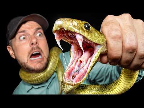 Catching Australia’s Most Dangerous Animal!