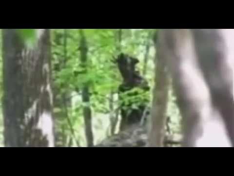 A man noticed a strange entity watching him as he was hiking through the woods