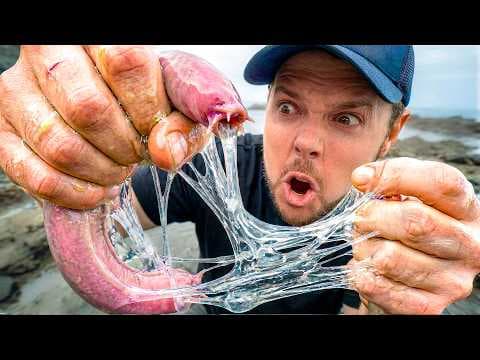 Ultimate Slimers: Nature's Grossest Superpower