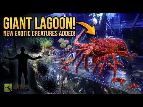 I Added New Exotic Creatures Into My Giant Lagoon Vivarium (Lobster, Sea Urchin, Shrimp, Crabs)