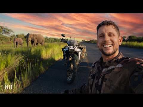 Riding the Elephant Highway (Safari for FREE)