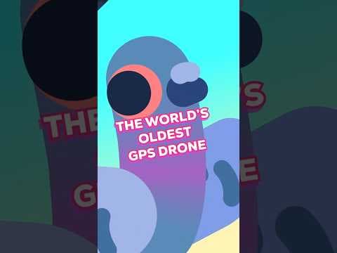 Pigeons Are GPS Drones