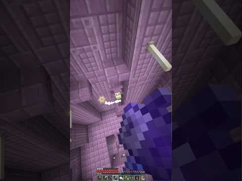 How To Loot An End City