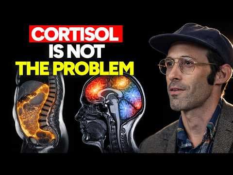 The Cortisol Doctor: This is What Really Drives Visceral Fat Growth