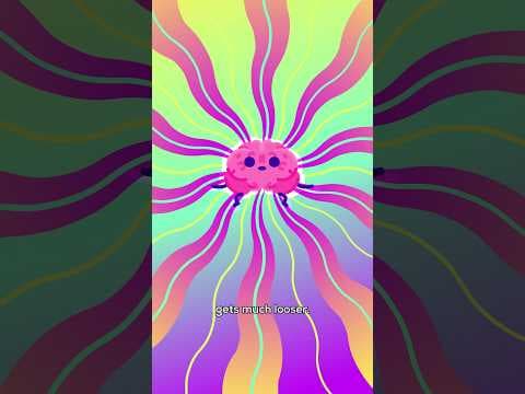 Your Brain on Magic Mushrooms