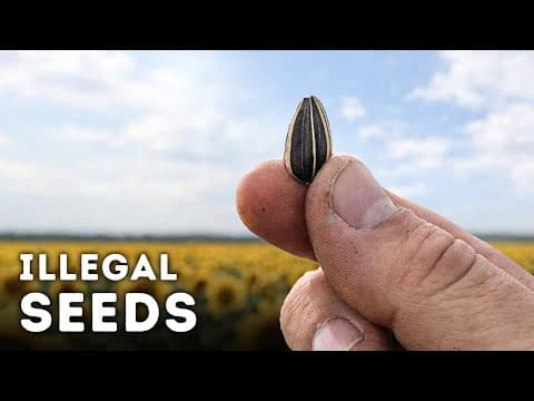 Everyday Things Corporations Banned to Control You