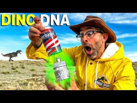 Jurassic Mystery: Did We Find Dinosaur DNA?!