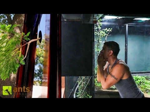 The Wildest Animals Are Entering My Vivariums From Outside