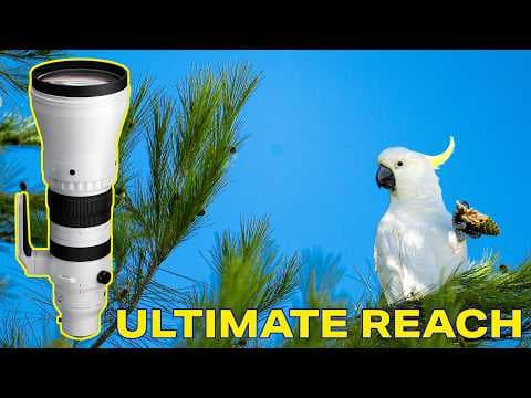 The Ultimate Wildlife Long Lens — Best Release of 2025